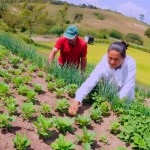 agricultura familiar foto jose marques secom pb_2