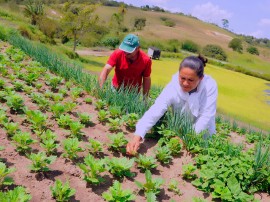 agricultura familiar foto jose marques secom pb_2