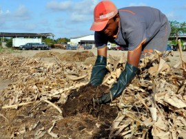 empasa inicia reaproveitamento de material organico compostagem foto joao francisco 11