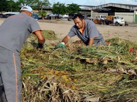 empasa inicia reaproveitamento de material organico compostagem foto joao francisco 27