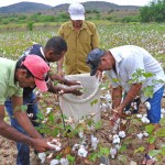 dia de campo em juarez tavora foto antonio david (2)