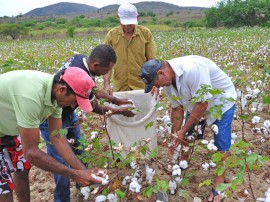 dia de campo em juarez tavora foto antonio david (2)