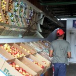 09.12.11 consumo de frutas 150x150 - Mercado Livre da Empasa registra aumento de vendas no período natalino