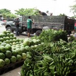 empasa e vigilancia sanitaria 1 150x150 - Empasa e Vigilância Sanitária criarão selo de qualidade para alimentos