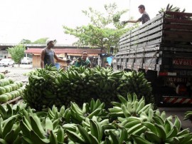 empasa e vigilancia sanitaria 270x202 - Empasa e Vigilância Sanitária criarão selo de qualidade para alimentos