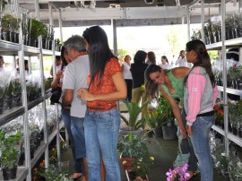 10.05.12 feira_flores_foto_jose lins (81)