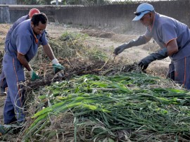 empasa inicia reaproveitamento de material organico compostagem foto joao francisco 26