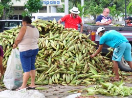 empasa_milho_verde_foto_jose_lins_02