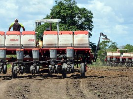 plantaçao de milho nova tecnologia no brejo foto antonio david secom pb (51)