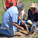 zona rural de caiçara foto antonio david (12)