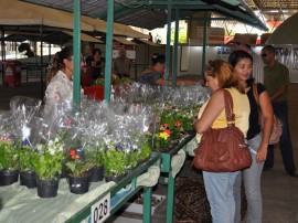 23.07.12 semana_agricultura_foto_vanivaldo ferreira (6)portal