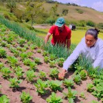 agricultura familiar foto jose marques secom pb_2