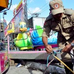 bombeiro faz inspeçao em parques foto joao francisco secom pb (5)