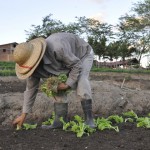 emater agricultura familiar lagoa seca foto francisco franca 2