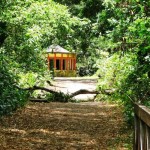 jardim-botanico-PORTAL