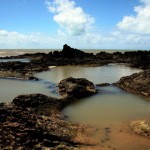 praia de tambaba foto francisco frança (1)