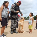 canil_pm (2) canil_pm (2)