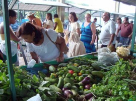 emater feira do produtor (2)