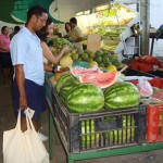 emater feira do produtor