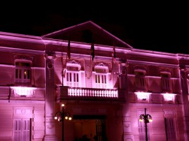 palacio campanha do outubro rosa foto francisco franca (11)