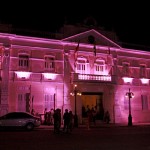 palacio campanha do outubro rosa foto francisco franca (7) palacio campanha do outubro rosa foto francisco franca (7)