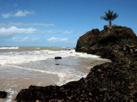 praia de tambaba foto francisco frança (2)