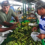 30.11.12 feira da emater_fotos jose lins_secompb (35)