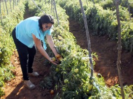 agricultura em conceicao acude cacimba nova foto sonia alves (17) (1)