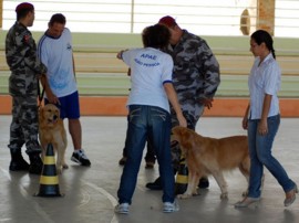 cinoterapia na apae com caes da pm foto werneck moreno (5)