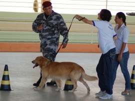 cinoterapia na apae com caes da pm foto werneck moreno