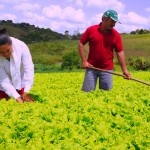 agricultura familiar foto jose marques secom pb_5