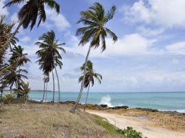 16.01.13 praia de coqueirinho_fotos_alberi pontes (2)