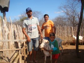 Cabras em Prata 2