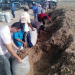 distribuicao de racao na cidade de conceicao (2)