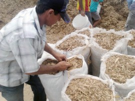 entrega de racao no cariri e sertao da paraiba (3)