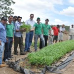 20.02.13 agricultores_familiares_lagoa_de roca_investem_avicultura (3)