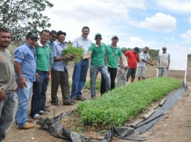 20.02.13 agricultores_familiares_lagoa_de roca_investem_avicultura (3)