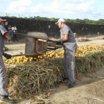 empasa tecnica ministra palestra sobre compostagem 150x150 - Técnica da Empasa ministra palestras sobre compostagem de resíduos