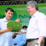 ricardo ENTREGA DE PALMA melhoradas na regiao de capina foto jose marques