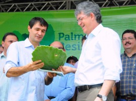 ricardo ENTREGA DE PALMA melhoradas na regiao de capina foto jose marques