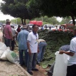 distribuicao de palma sousa