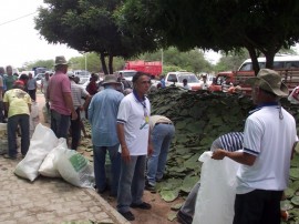 distribuicao de palma sousa