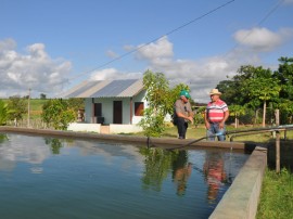 emater criativida na agricultura e criacao de galinhas 2 270x202 - Governo incentiva produção de hortaliças e avicultura no Sertão