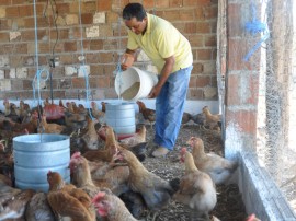 emater familias em gurinhem criam aves em sistema semi-aberto