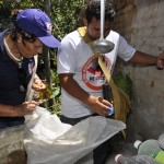 estado leva campanha contra a dengue  foto jose lins (1)