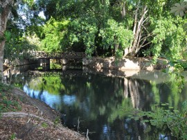 jardim botanico trilha paisagem  fotos Walter Rafael 10 270x202 - Jardim Botânico realiza Super Trilha para visitantes neste sábado