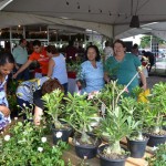 09.05.13 feira_flores_movimentacao (1)