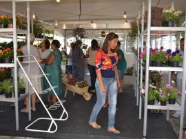 09.05.13 feira flores movimentacao 3 270x202 - Feira de Flores oferece opção de presentes para o Dia das Mães