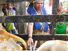 23.05.13 vacinacao aftosa rebanho indigena fotos roberto guedes secom pb 1271 270x202 - Povo potiguara inicia vacinação do rebanho contra febre aftosa