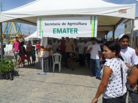 Ba.Sta Rosa SAM 8039 270x202 - Ações da Emater marcam aniversário de Barra de Santa Rosa